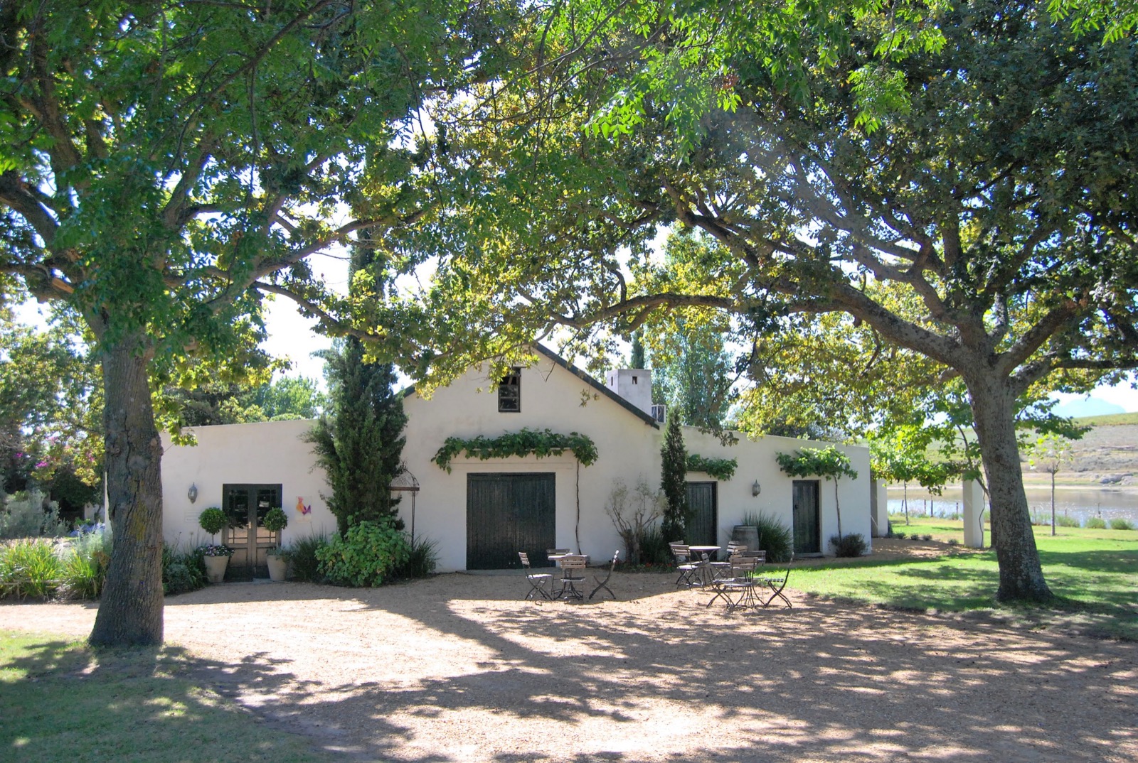Stellenbosch blends centuries of winemaking heritage with modern innovation. Here are five standout estates and tips to make the most of your visit.