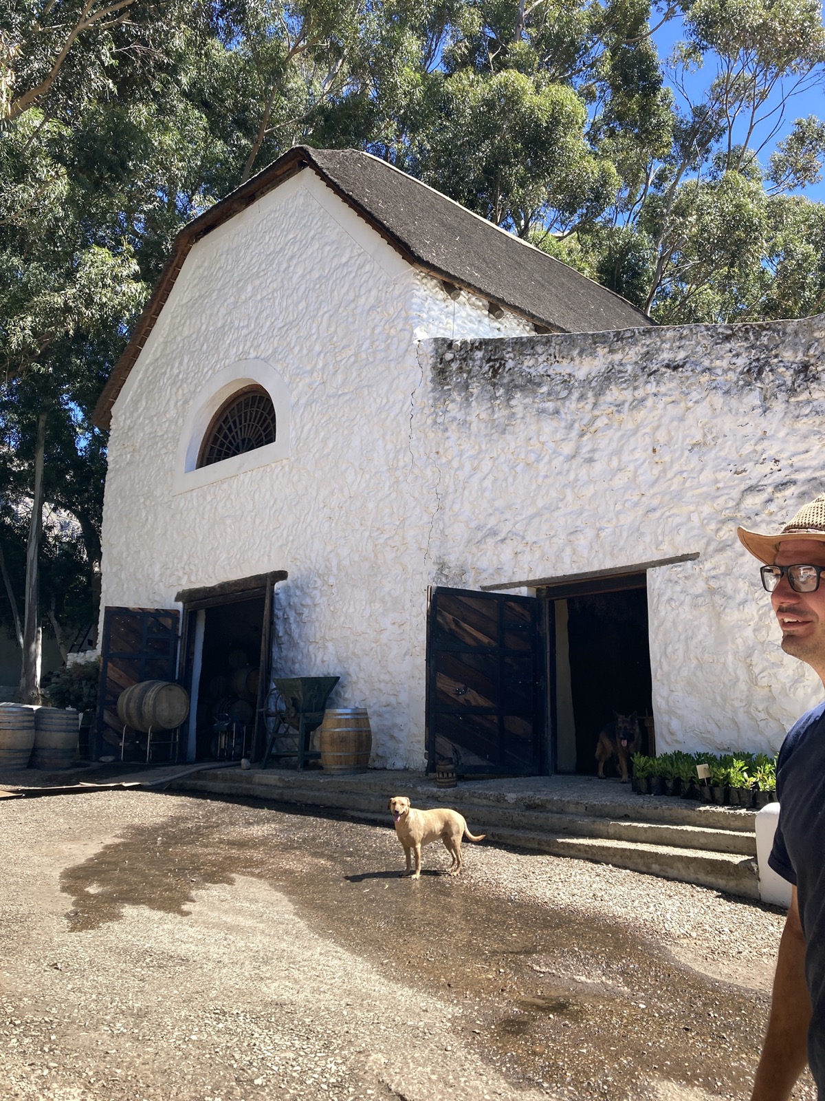 Three Stellenbosch vineyards worth knowing — Stellenzicht, Kleinood, and Dornier — and what makes each one distinctive.