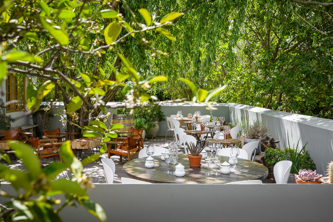 Noble Hill operates behind the Simonsberg mountains with a regenerative farming philosophy, a Chenin Blanc from clay amphorae, and a restaurant worth building a day around.