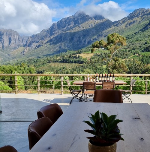 Exploring the Magic of Stellenbosch Wine Tasting Tours