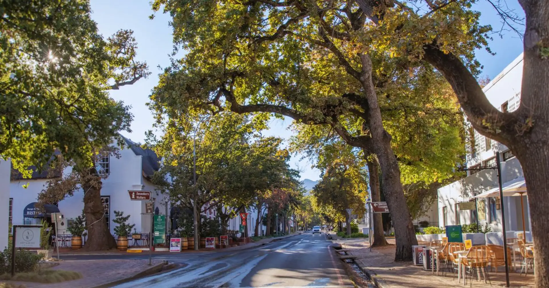 Oak-lined Dorpstraat, Stellenbosch