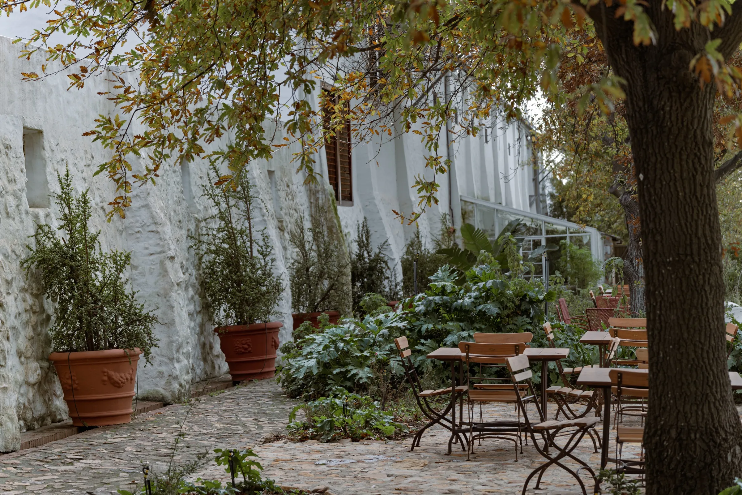 Estate courtyard with bistro tables under a tree