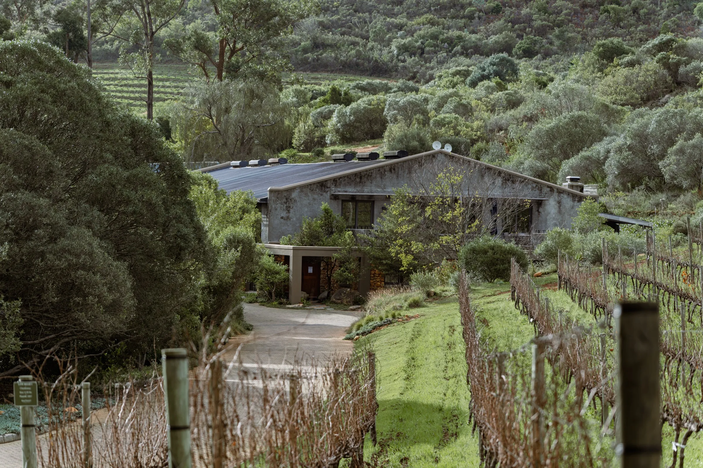 Wine estate nestled in a green Cape Winelands valley