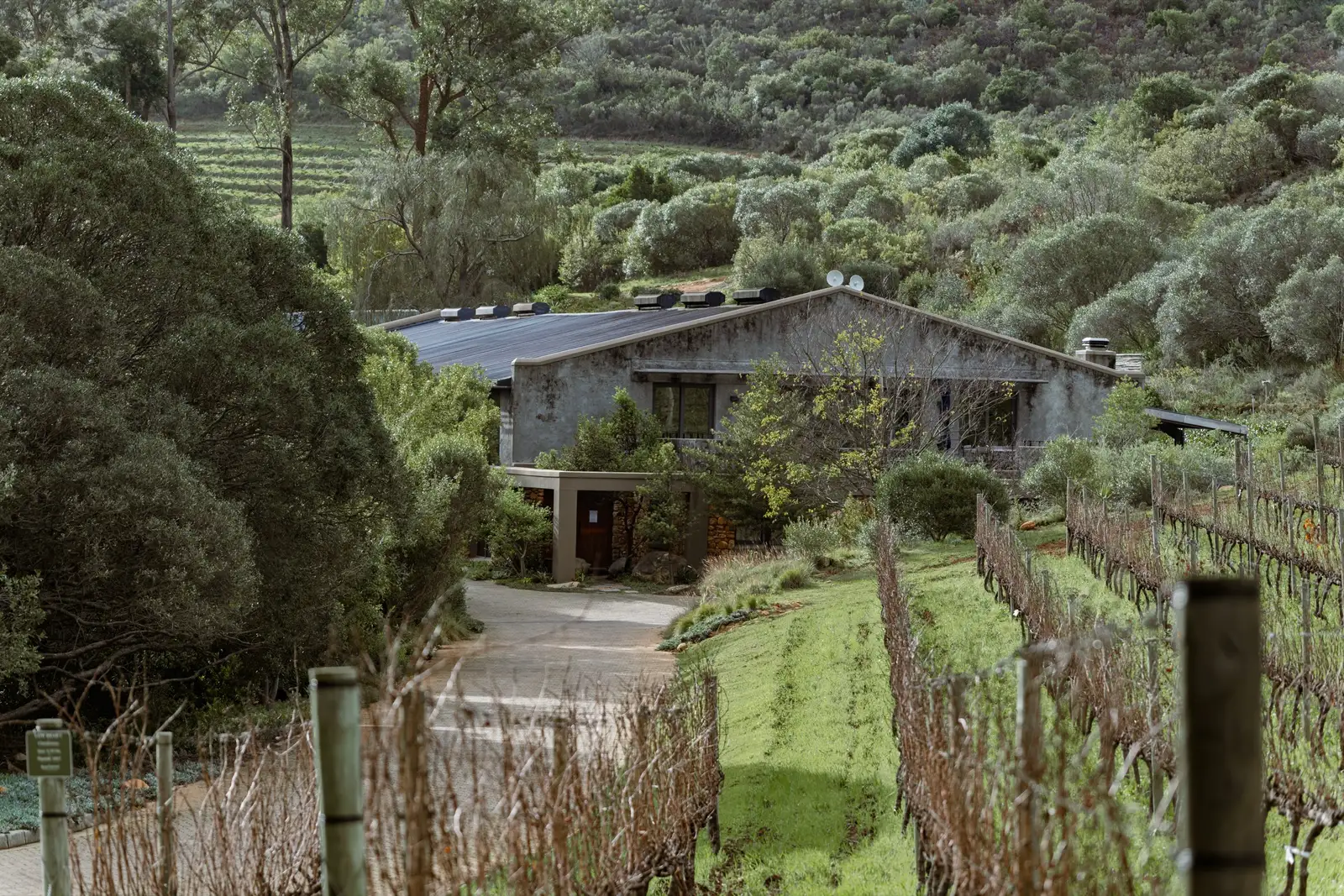 Wine estate nestled in a green Cape Winelands valley