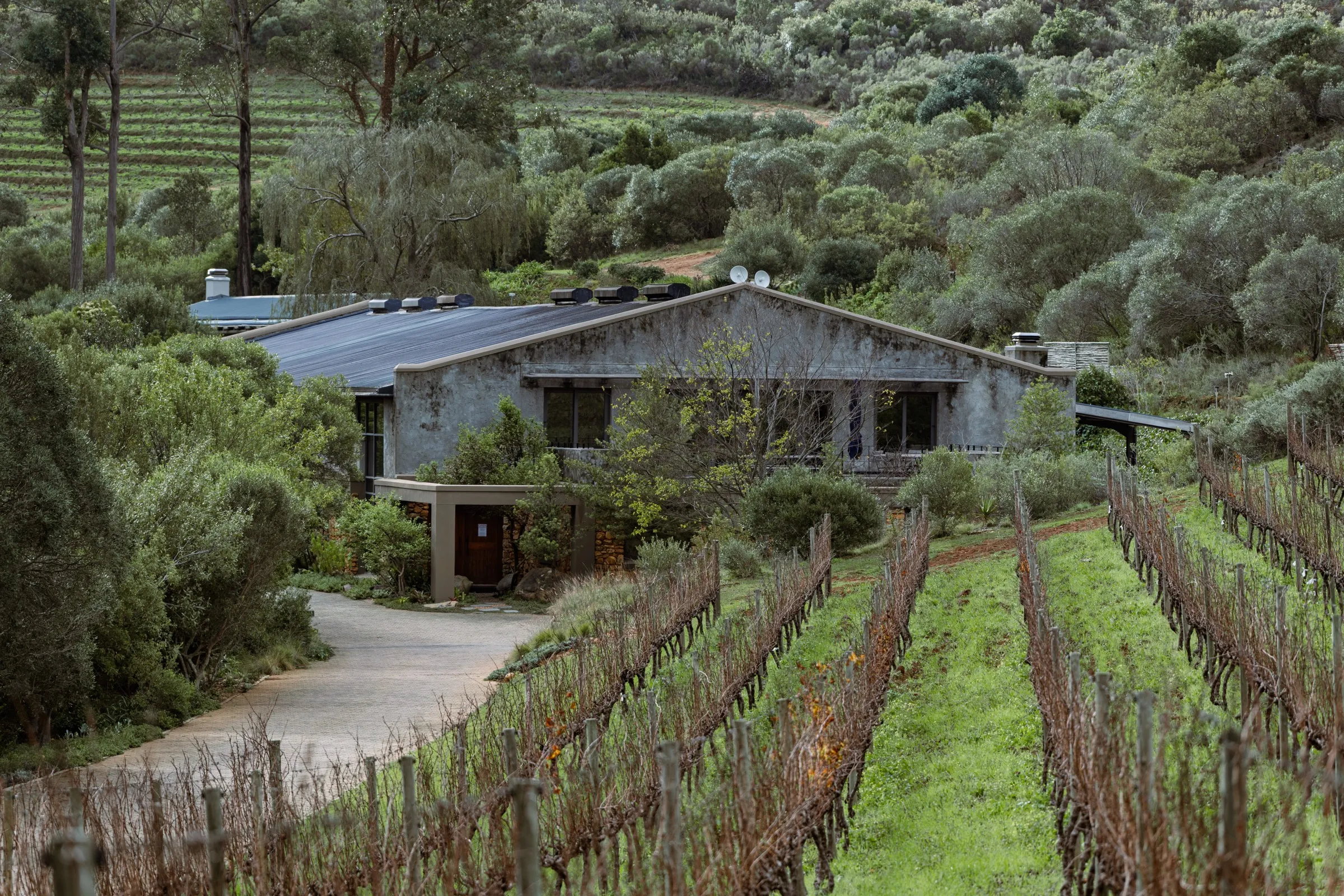 Wine estate among the vineyard rows, Stellenbosch