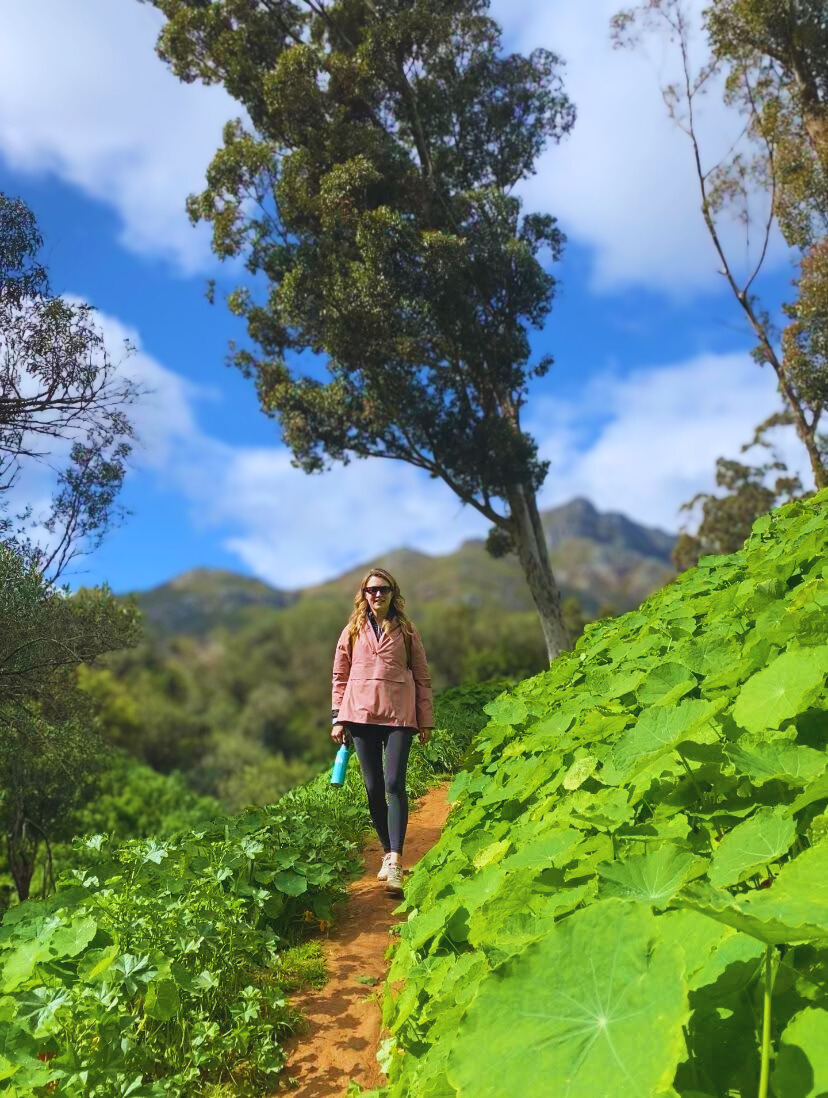Hiker on a lush green trail through the Stellenbosch mountain forest