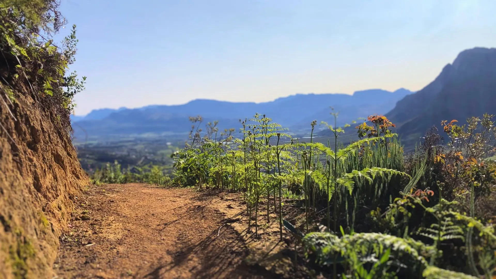 Mountain trail above Stellenbosch with valley views