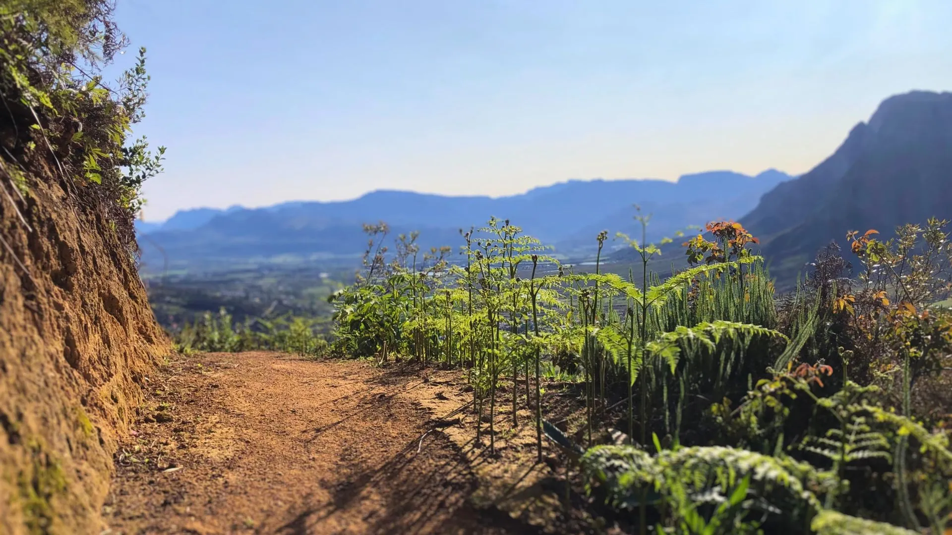 Mountain trail above Stellenbosch with valley views