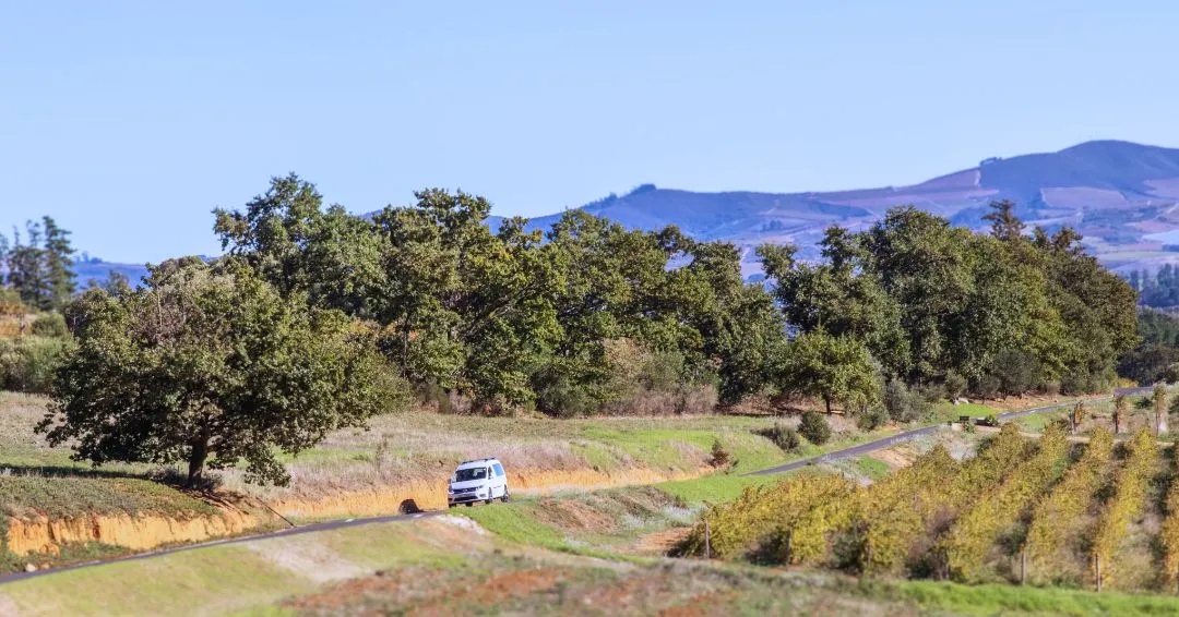 Private vehicle on a Cape Winelands country road