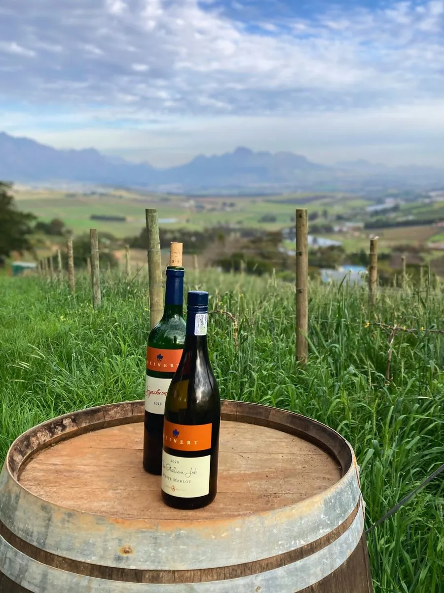 Wine bottles on barrel with mountain backdrop
