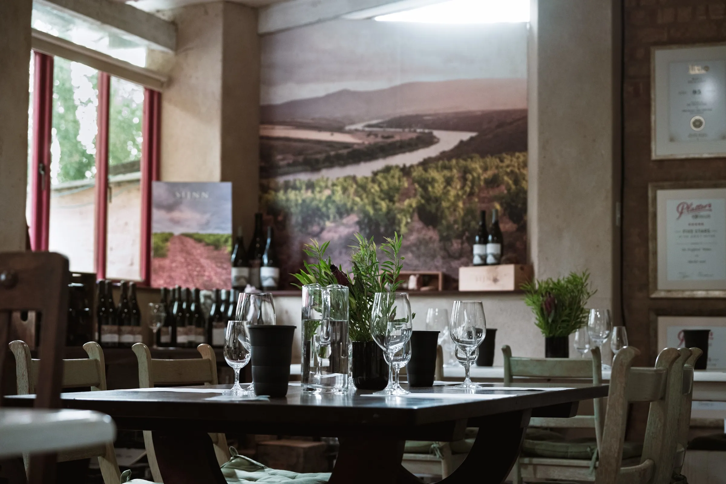 Tasting table set among the vines, Stellenbosch estate