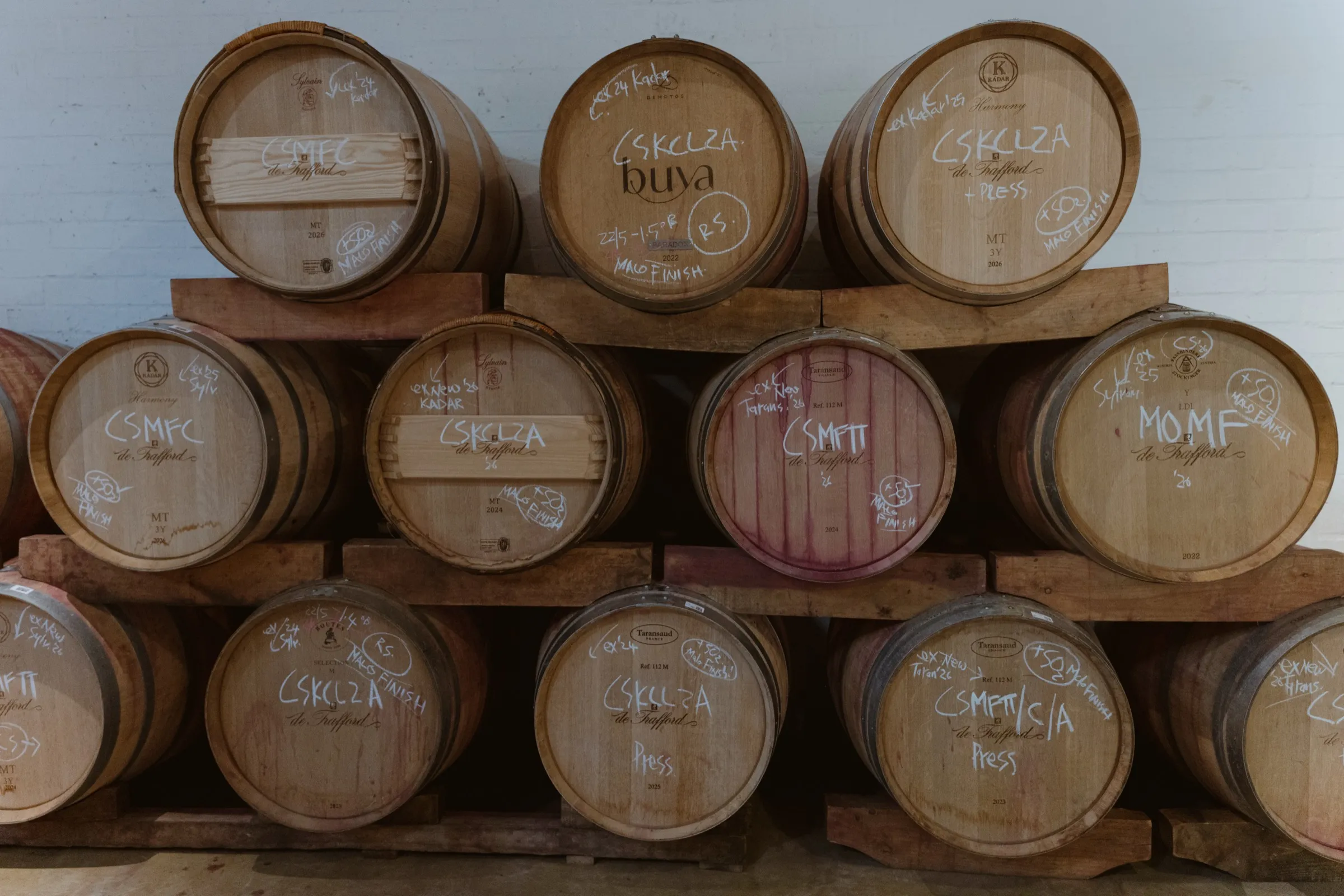 Wine maturing in oak barrels in the cellar
